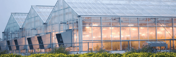 industrial-smart-greenhouse