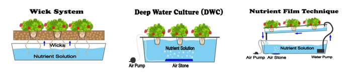 types-of-hydroponic