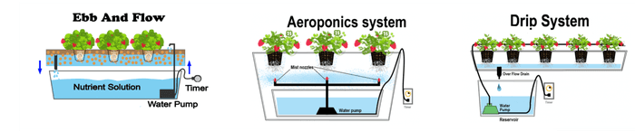 types-of-hydroponic