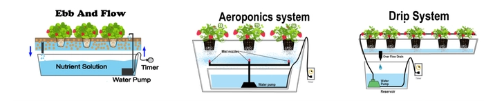 types-of-hydroponic-second-type