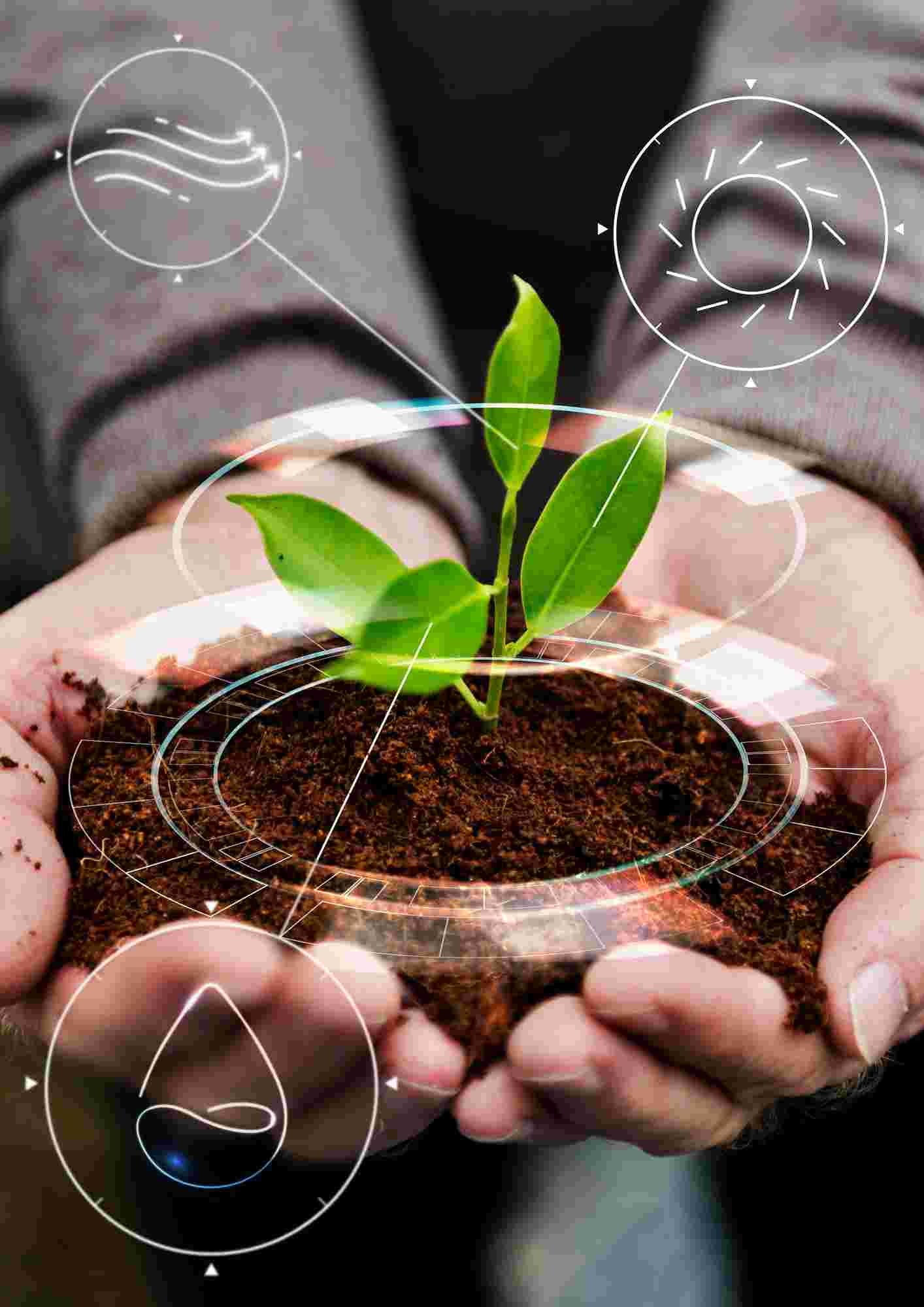 Smart agriculture - plant in soil