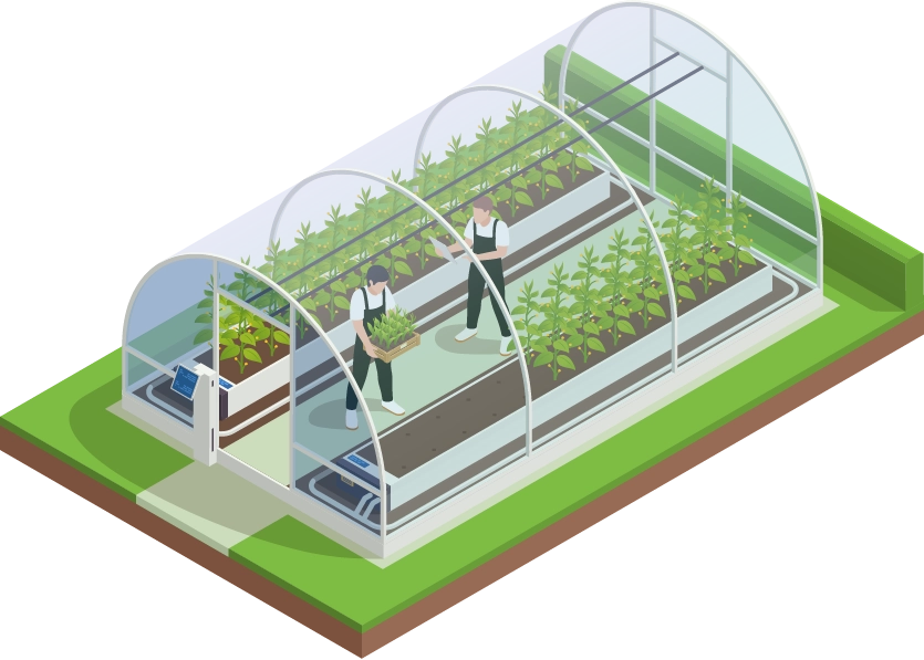 Greenhouse section-two workers work in the greenhouse